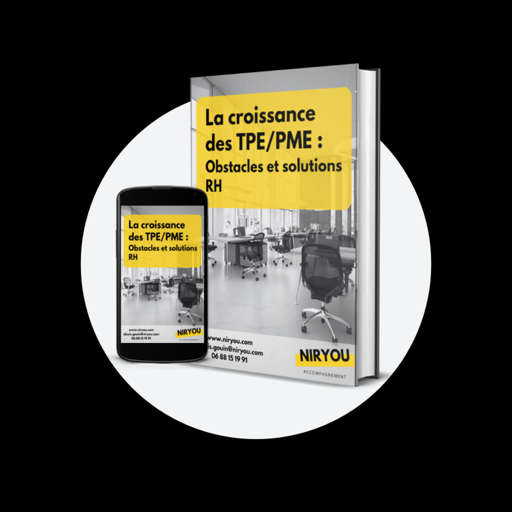 couverture livre blanc Niryou TPE/PME